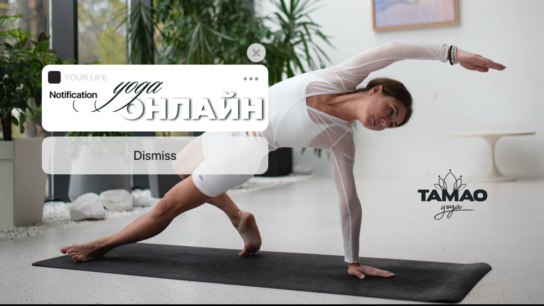 Онлайн практика